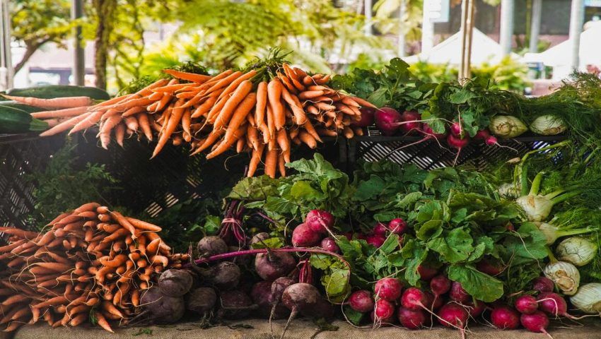 Alternativa vegetariana: sempre maggiore attenzione nella ristorazione