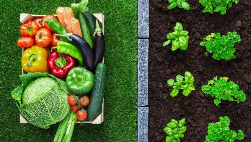 5 Vantaggi dell’Export di Prodotti Agroalimentari per il Tuo Business