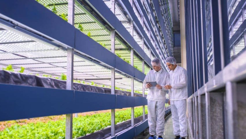 Quanto vale l’agroalimentare in Italia? Gli ultimi aggiornamenti