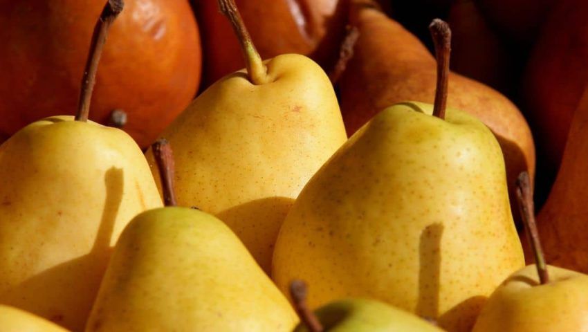 Come Partecipare a Fiere Agroalimentari Può Trasformare il Tuo Business