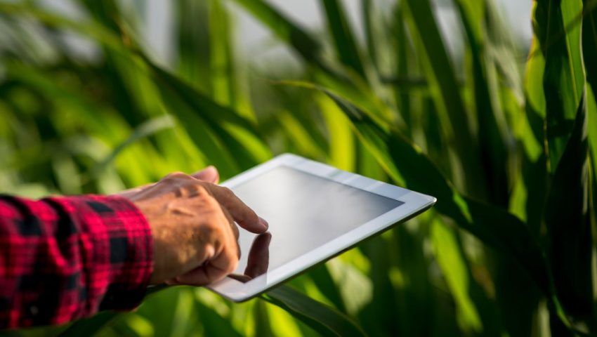 Tecnologie per la riduzione degli sprechi alimentari