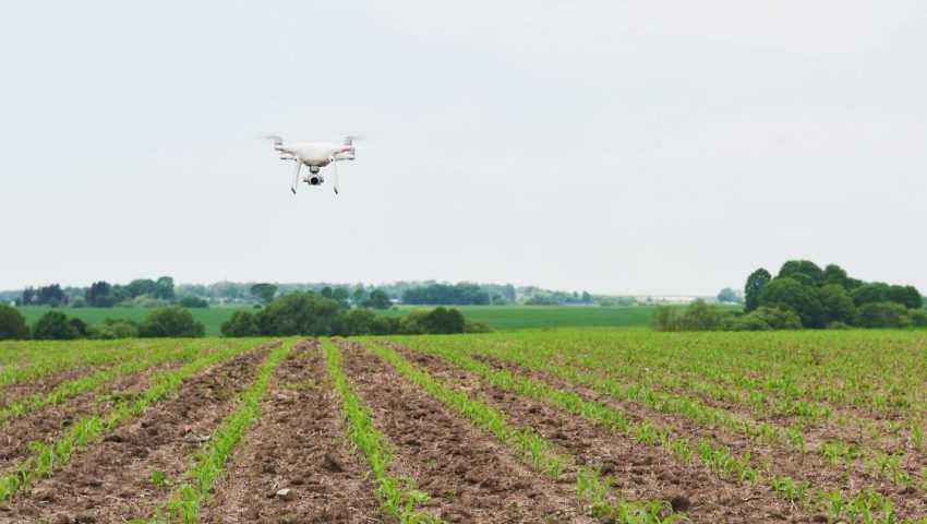 Tendenze agroalimentari 2026 che domineranno