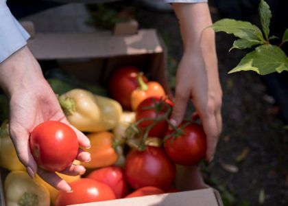 Settore ortofrutticolo come cibo locale