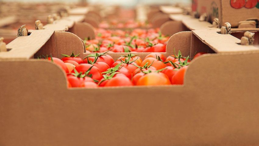 Export agroalimentare italiano 2026: l’Asia come nuovo asse strategico per la crescita internazionale